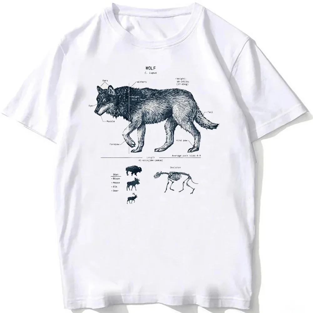 Casual Tee Beach Dive White Tee Vintage Tee Whale Shark Dissection Tee Female Hip Hop Aesthetic Comfortable Clothing