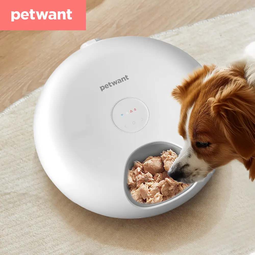 Petwant Cat Smart Feeder Wireless Cats Dogs 6 meals Dry Wet Food Dispenser APP WIFI Remote Timed Automatic Pet Bowls Feeder