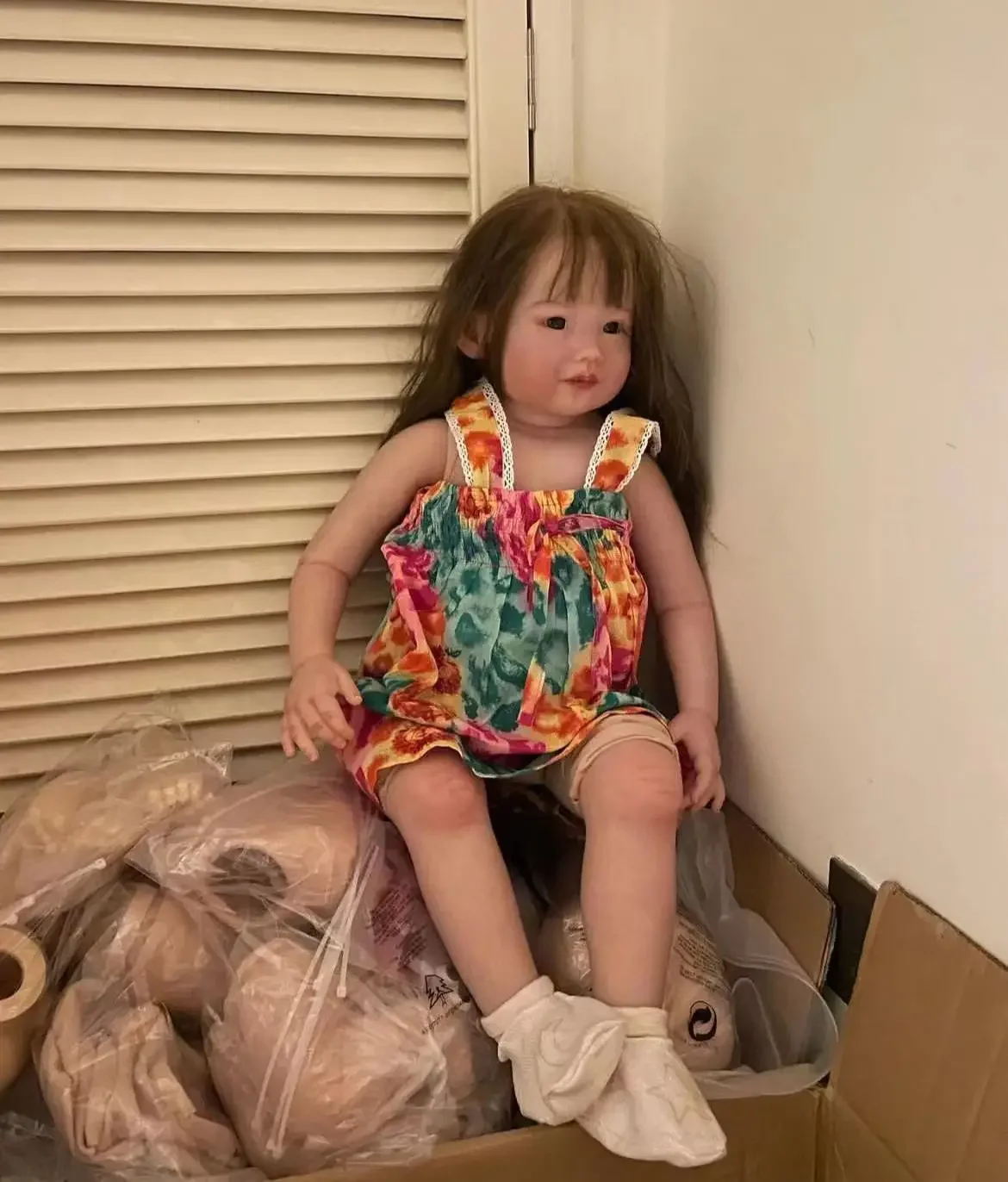 

DLS Customized Limited Supply 29inch Reborn Baby Doll Leonie 3Versions With Hair Already Finished Doll With Beautiful Dress