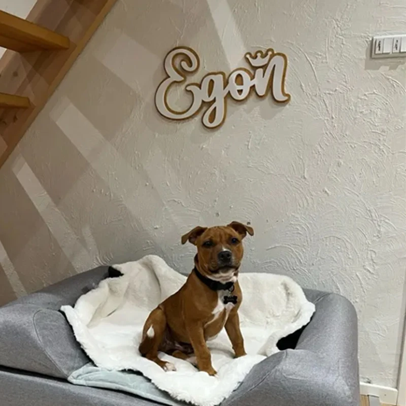 مخصص شخصية جدار اسم علامة خشبية "نجمة" الطبقات الخط الفن الحضانة ديكور الاطفال غرفة الطفل المنزل اللوحة الزفاف #2