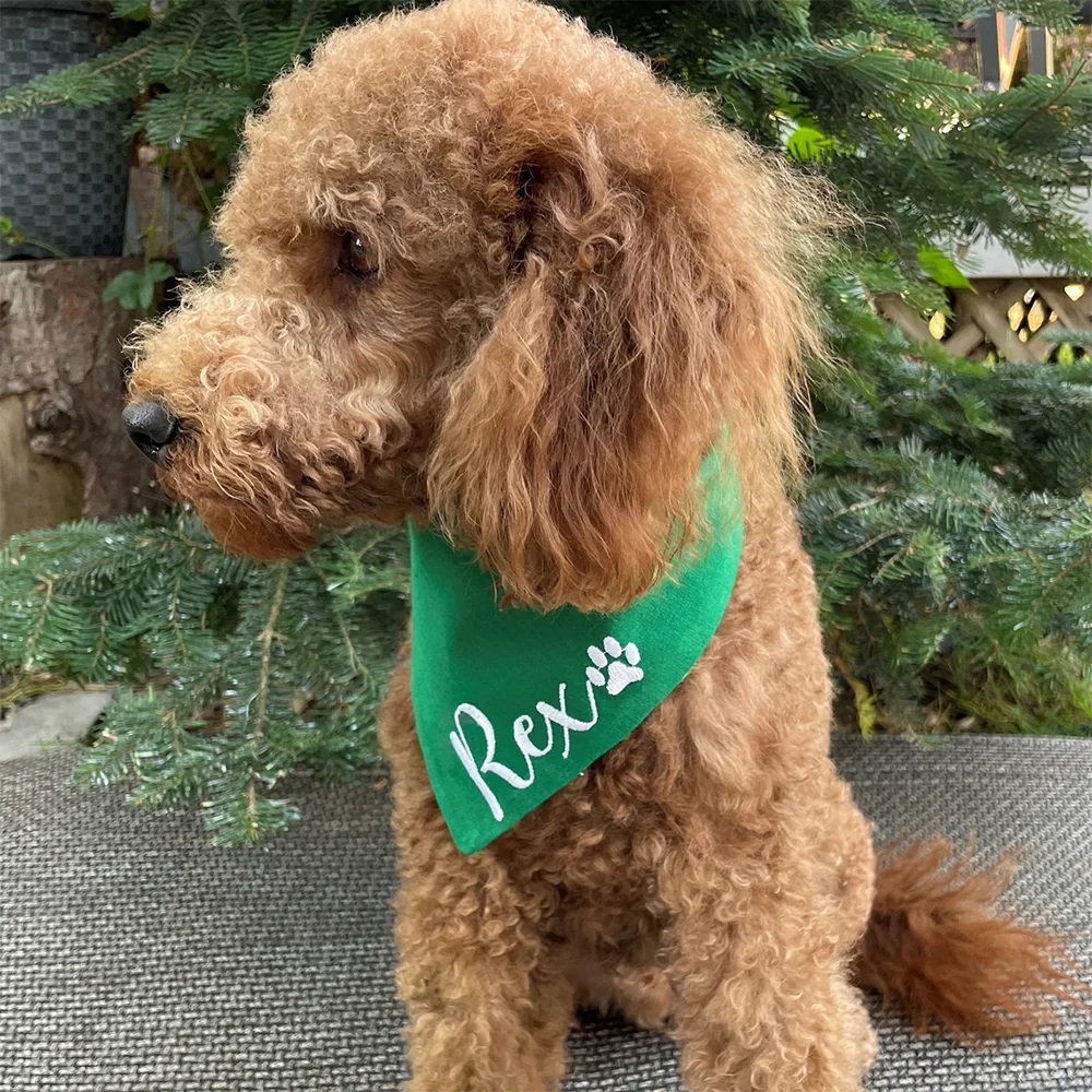 Bandana de natal com nome pers - Pet Supplies Discount avaliação e preço