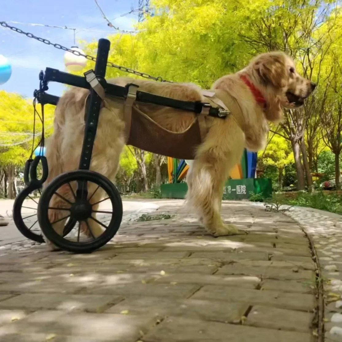 Pet Dog Wheelchair for Hind Legs, Disability Rehabilitation Training Cart, Medium Large Dog Hind Limb Assisted Mobility Aid