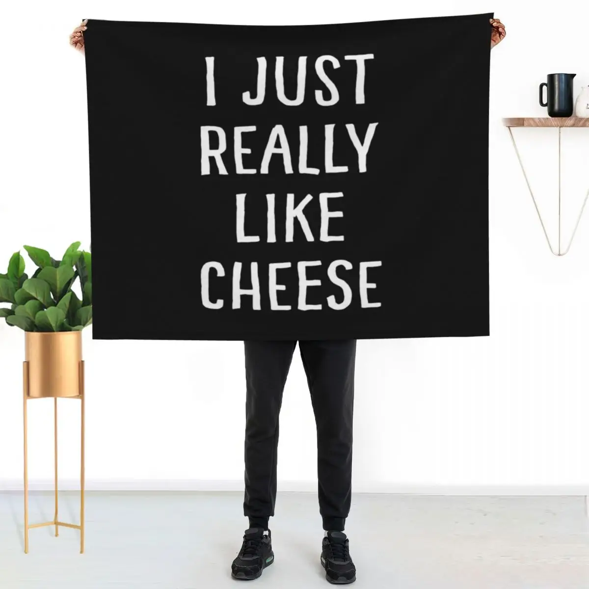 Мягкое и уютное одеяло-плед I Just Really Like Cheese для чтения и просмотра телевизора Мягкое и уютное одеяло-плед I Just Really Like Cheese для чтения и просмотра телевизора