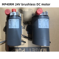 3/4 Inch Stainless Steel Food Grade Home Brew Beer Water Pump MP40RM 24V Brushless DC Motor