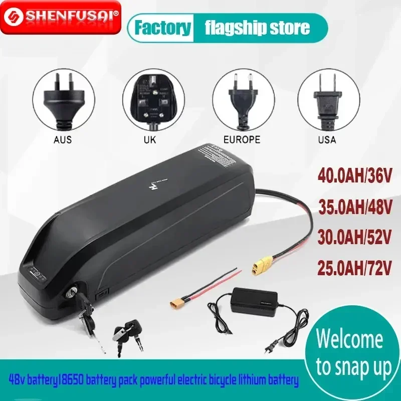 36V 48V 60V 72V 18650 Electric Bicycle Battery Hailong Battery Box with USB 1000W Motorcycle Modification Kit Octagonal