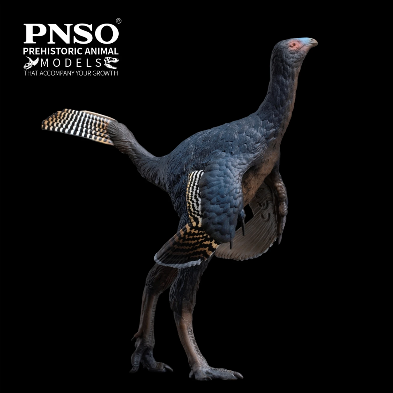 PNSO Caudipteryx 93 Model Dinozaura Prehistorycznego Kolekcjonerski Edukacja Naukowa Figurka Zwierzęcia Zabawki dla Dorosłych Dekoracja Prezent