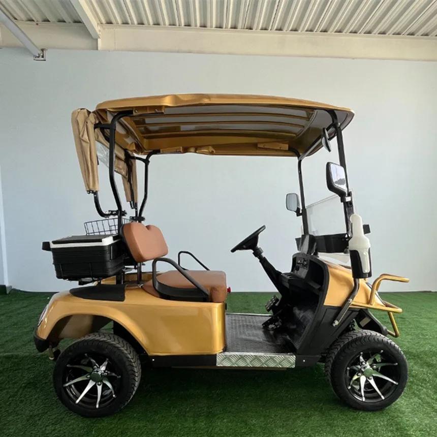 Brand New Disc Brake Electric Golf Cart Gas Or Battery Powered Hunting Cart Electric Free Custom Color Scenic Sightseeing Cart