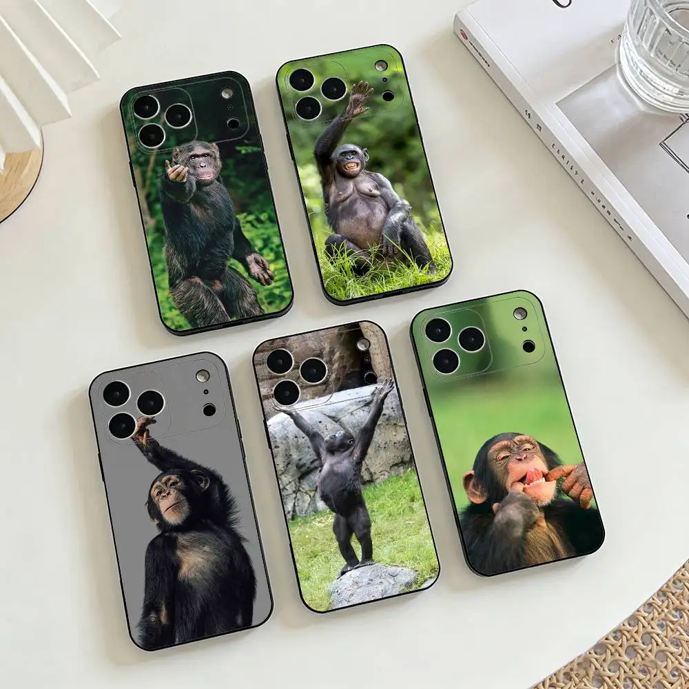 

Monkey Gorilla Orangutan Funny Phone Case For iPhone 17,16,15,14,13,12,11 X XR Plus,Soft Silicone Black Cover