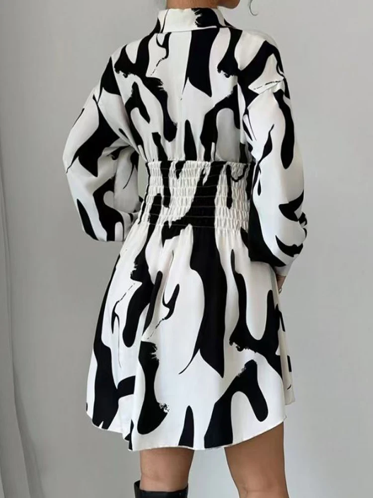 Zadily 2025 Spring Women's Ink Print Shirt Dress Smocked Waist Lantern Sleeve Elegant Casual Work Mini Dress