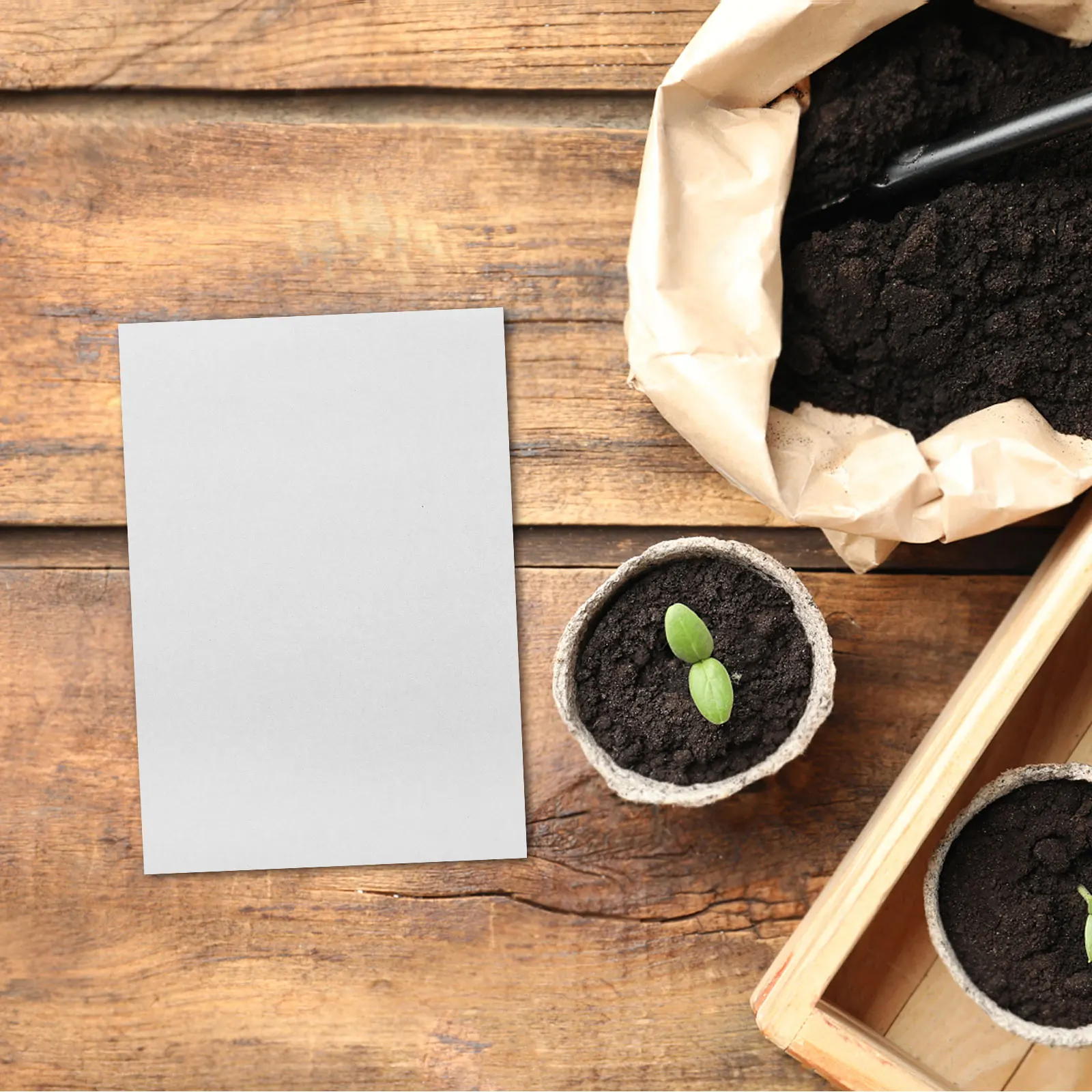 

100 Pcs Seedling Paper Herb Grow Planting Microgreens Growing Sprout Tray Sprouter Sprouts Vanilla