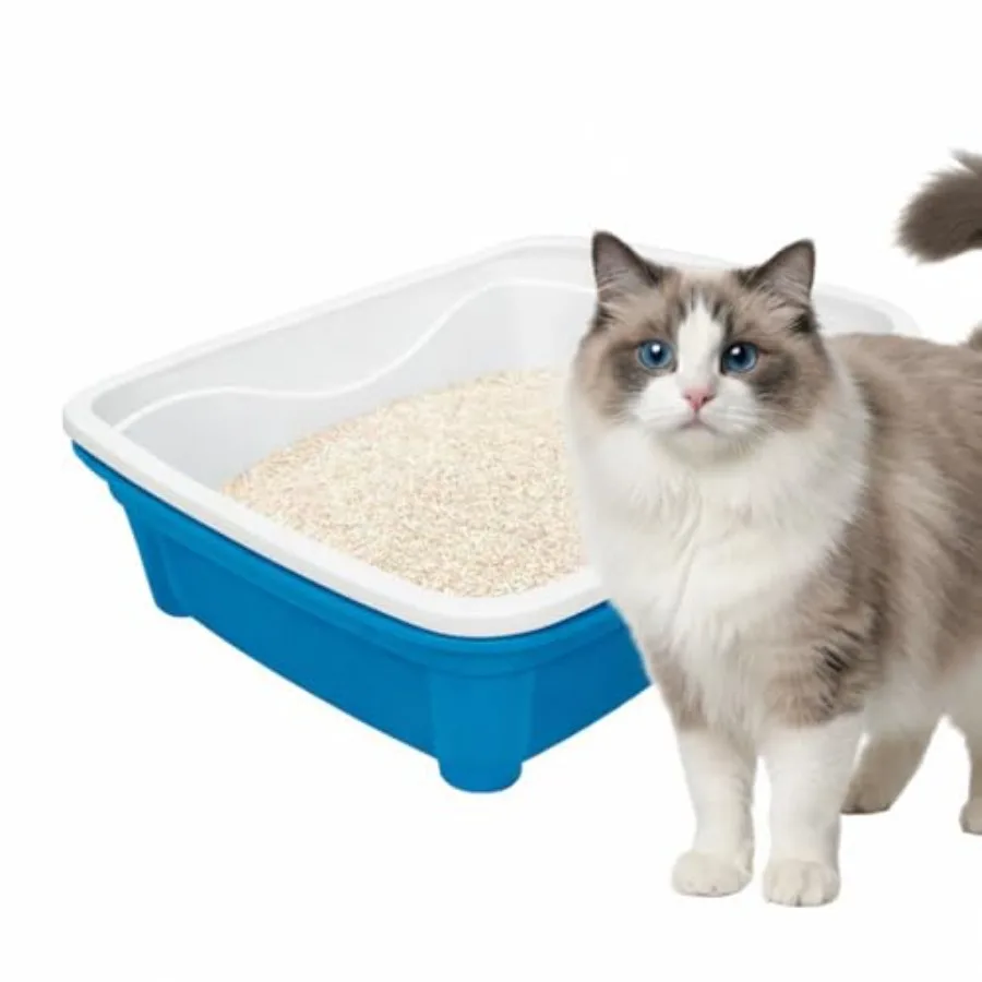 

Classic Plus Sifting Litter Box Large - Large Cat Litter Pan with Intelligent Sifting System for Hygiene Savings and Comfort -