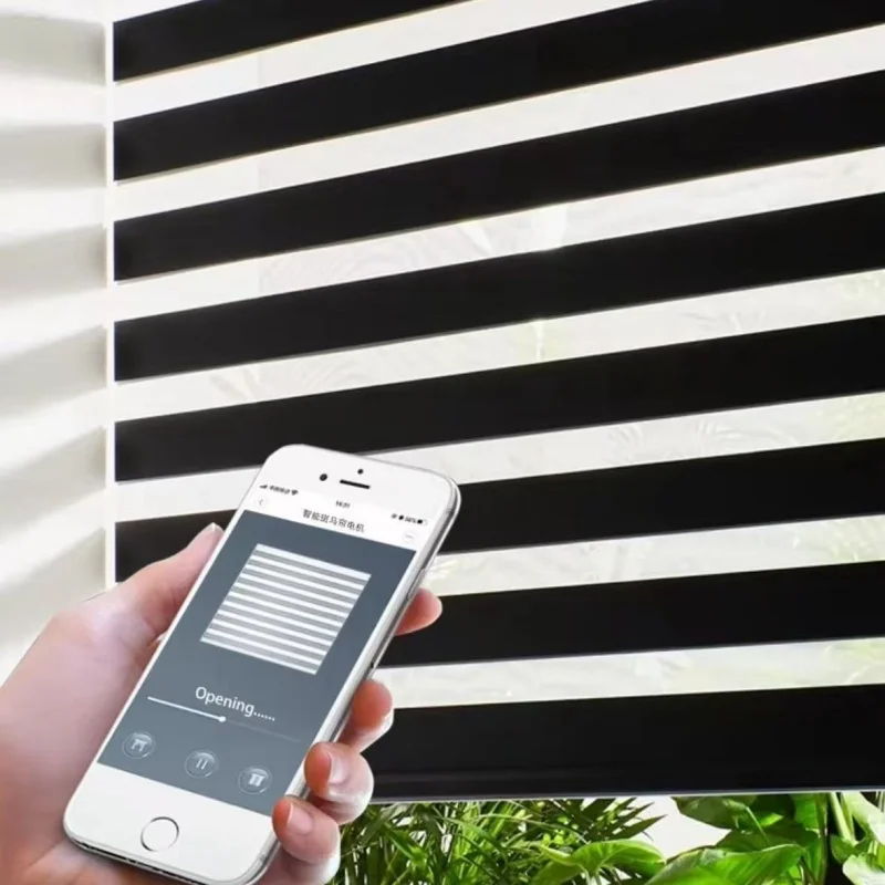 Luxury professional customized blackout WiFi APP remote smart control day and night double layer fabric zebra blinds for window