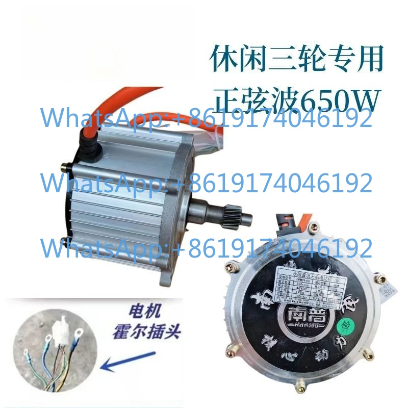Lithium Battery New Product Recommendation Vector Sine Wave Motor Electric Vehicle 48v60v650W Silent High Speed