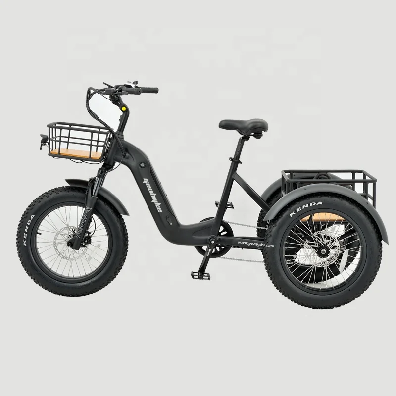 

EU Warehouse Tricycle Bike Electric Aluminum Frame 250w Motor Power with Rear Carrier