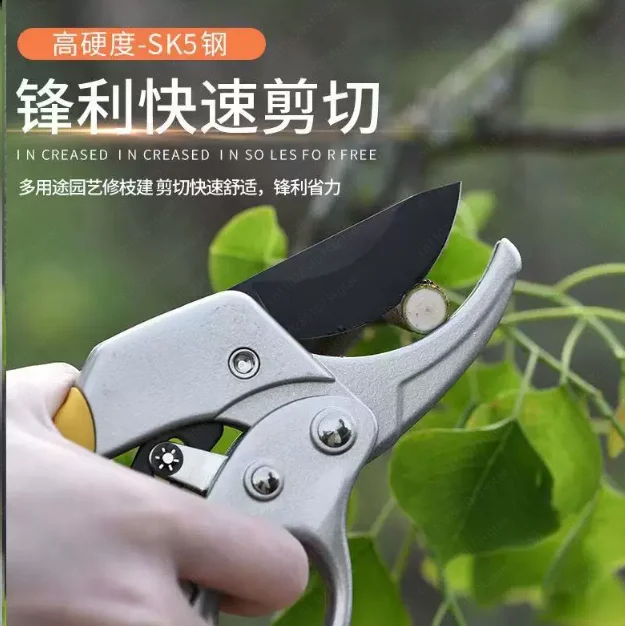 Fruit Tree Pruning Shears – Segmented Professional Labor-Saving Garden Branch Cutter for Thick Stems & Floral Trimming