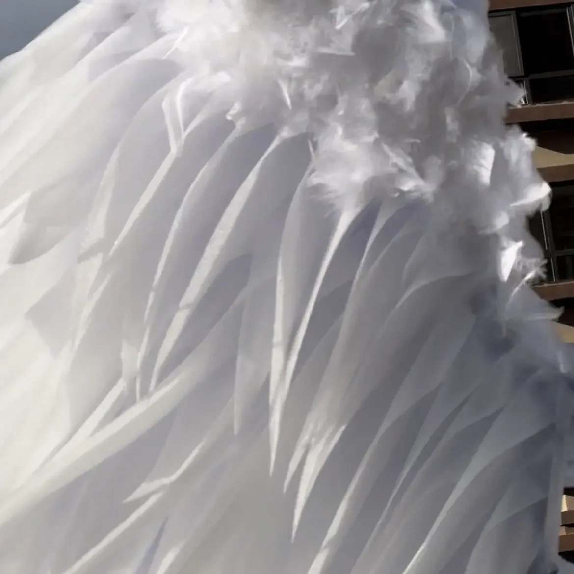 ใหม่ผู้ใหญ่สีขาวปีกขนนกฮาโลวีนรุ่น Catwalk เครื่องแต่งกาย Super Wings Nightclub Performance Props