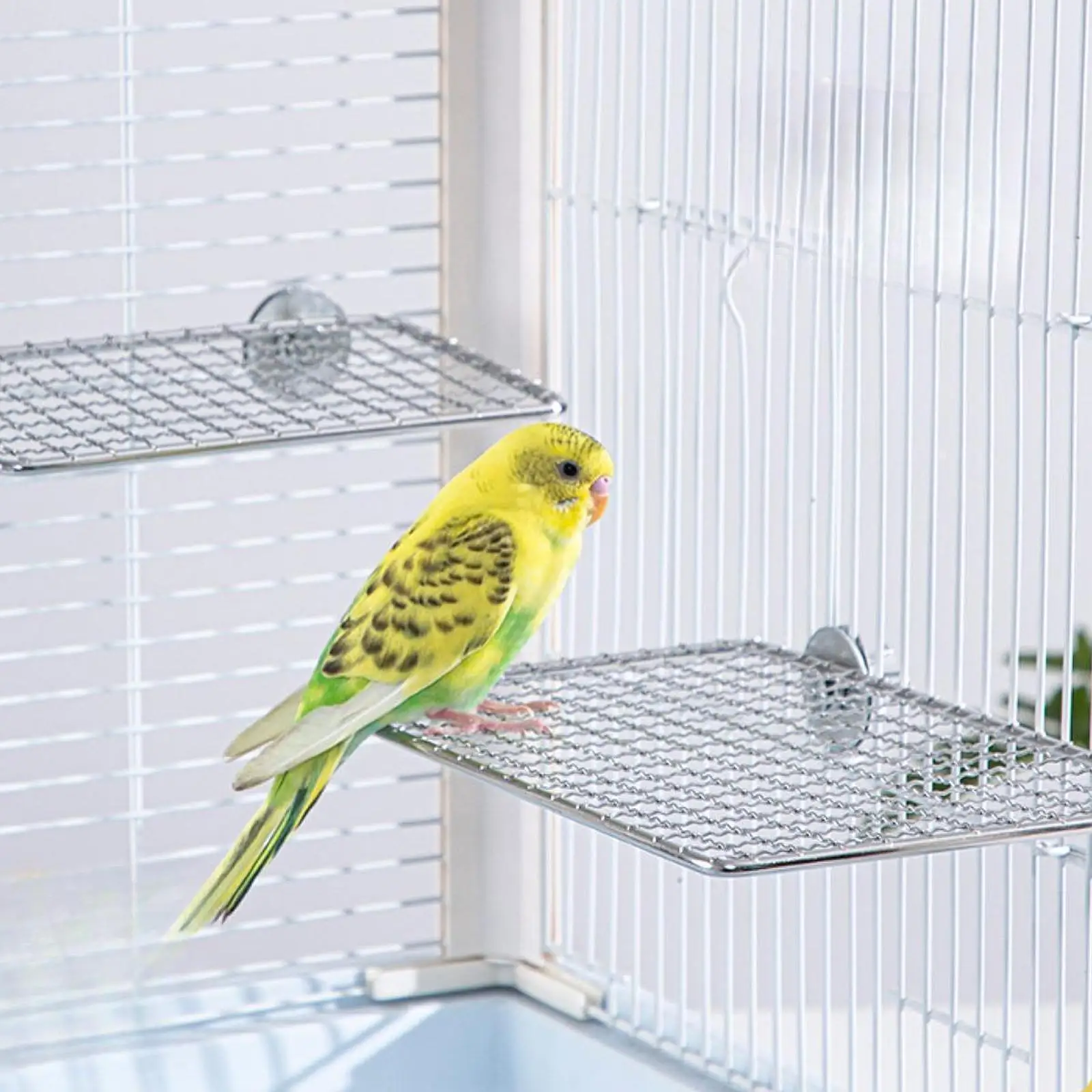 Bird Cages Network Easy to Use Stable Lightweight Bird Cage Seed Catcher Net