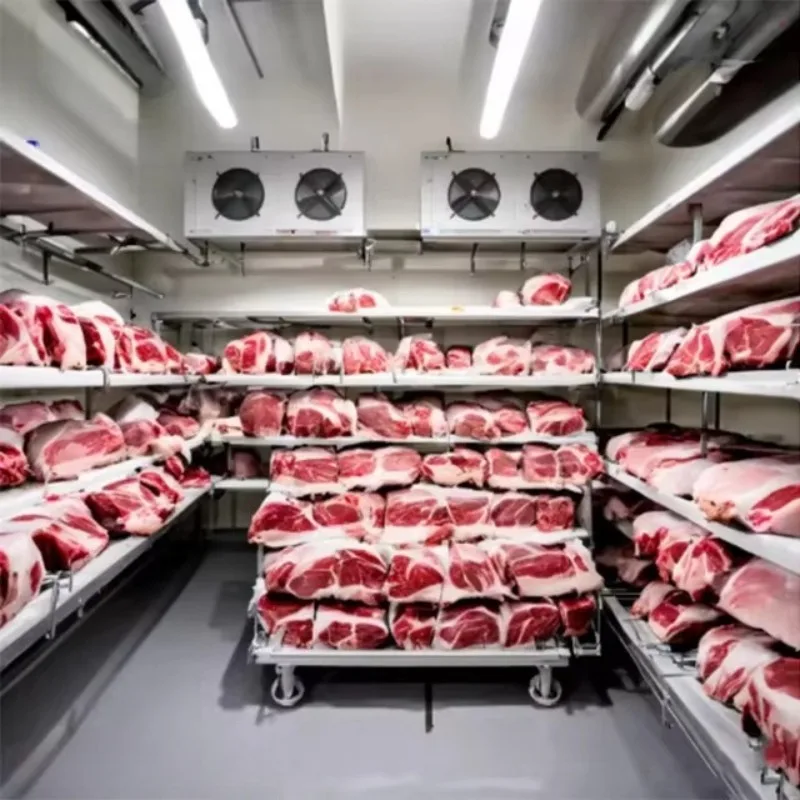 Good Quality Refrigerated Freezer Small Size Negative Mobile Cold Storage Room for Meat Seafood