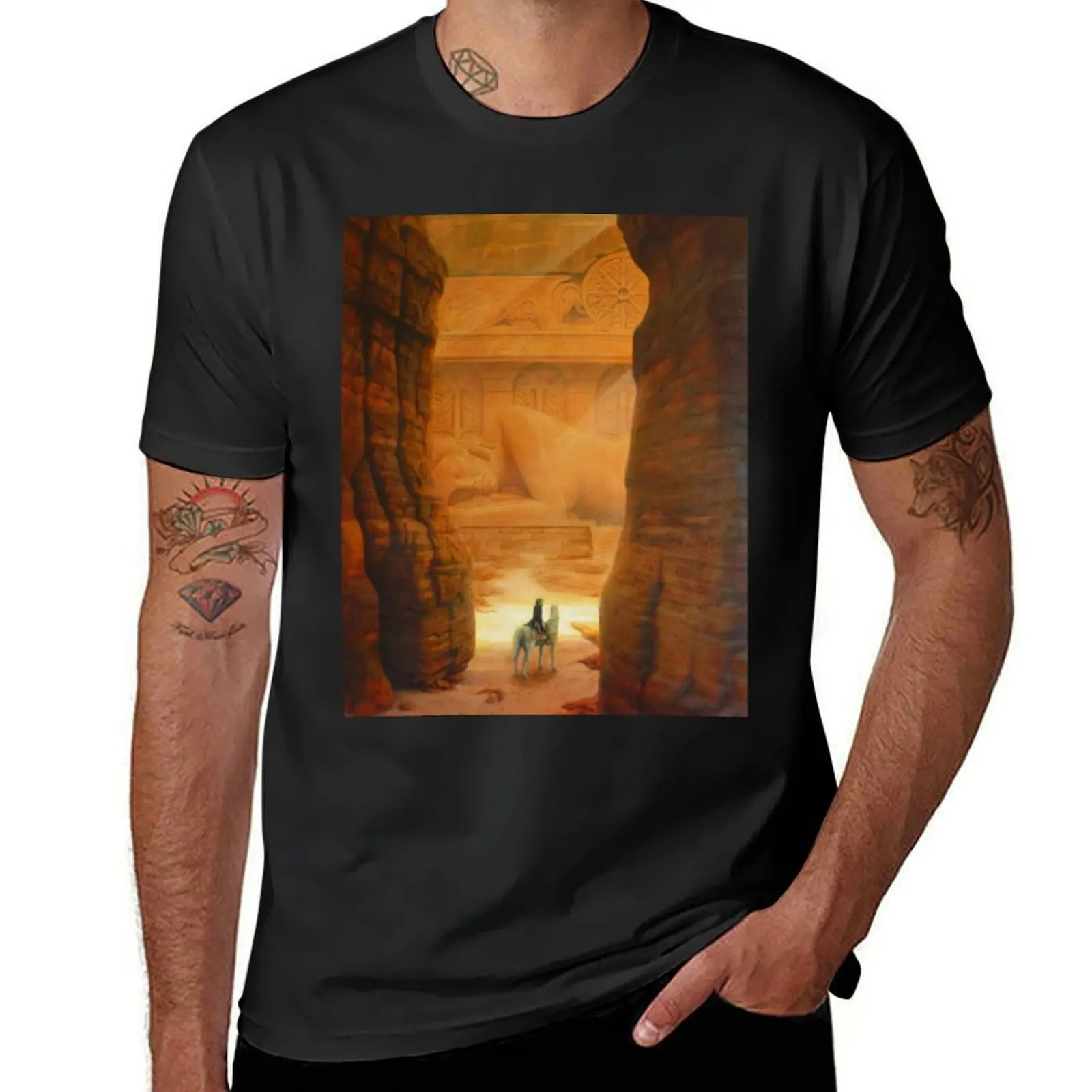 Secret Place T-Shirt quick drying oversized blanks oversizeds T-shirts for men cotton