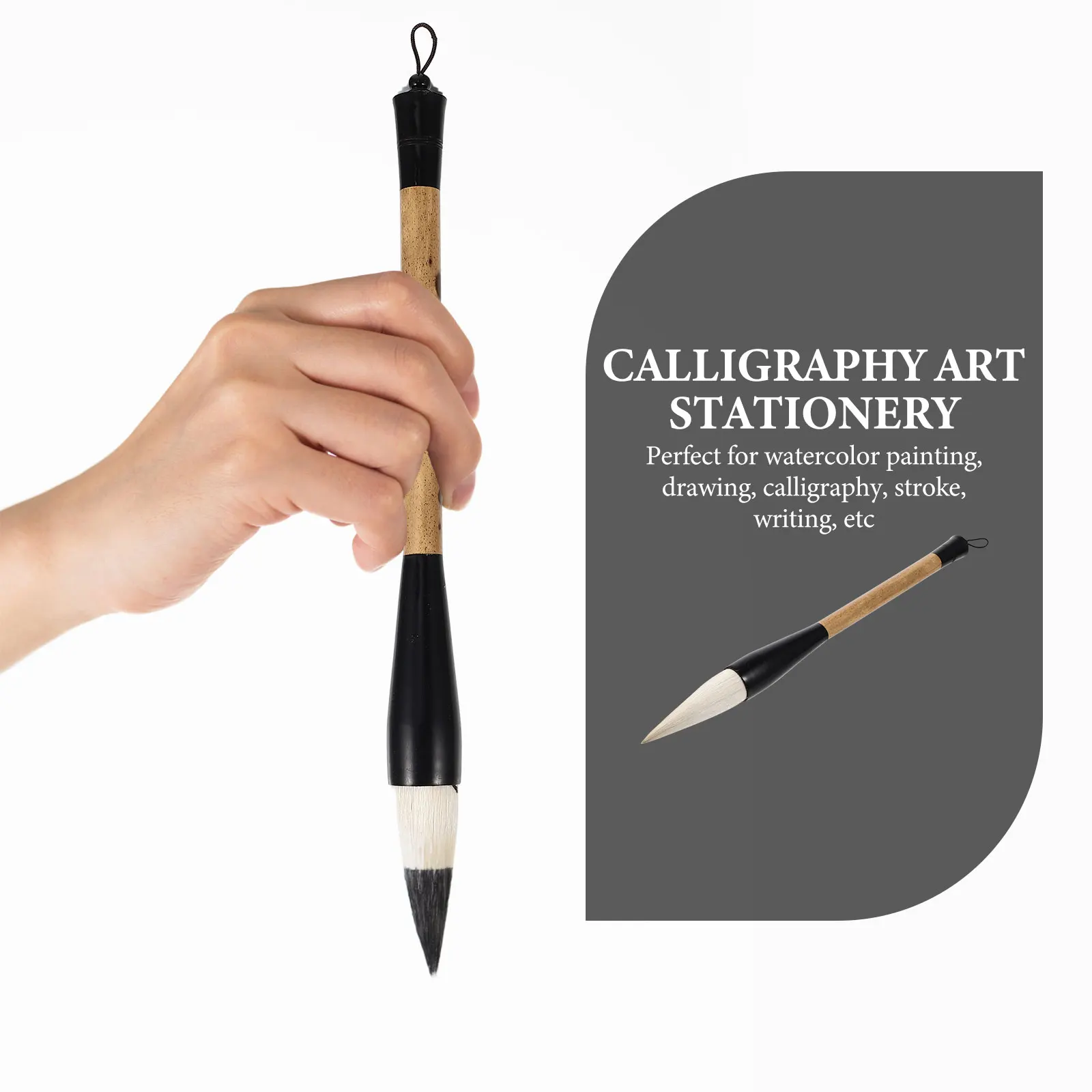

Beginner Chinese Calligraphy Brush Portable Writing Painting Tool Smooth Writing Gift for Students Teachers