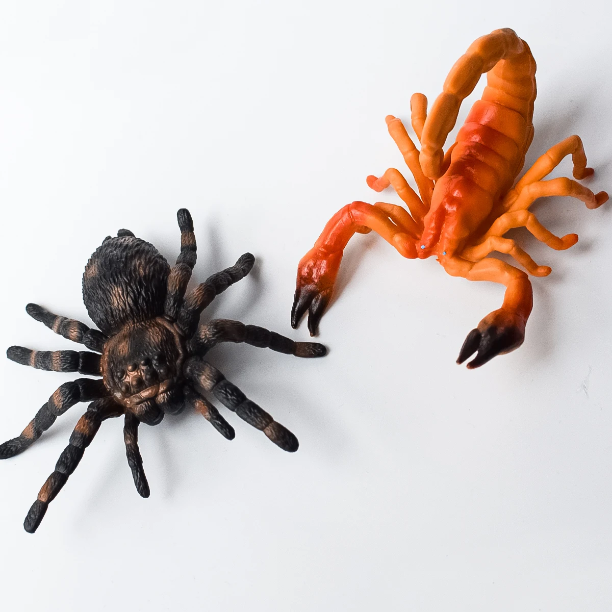 

2 Types of Simulated Insect Models | Spider | Scorpion | Garden Decoration Ornaments | Desktop Decorations | Teaching Aids | Children's Understanding of Insects | Early Education at Home | Birthday Anniversary Party Holiday Gifts | Halloween, Christmas, H