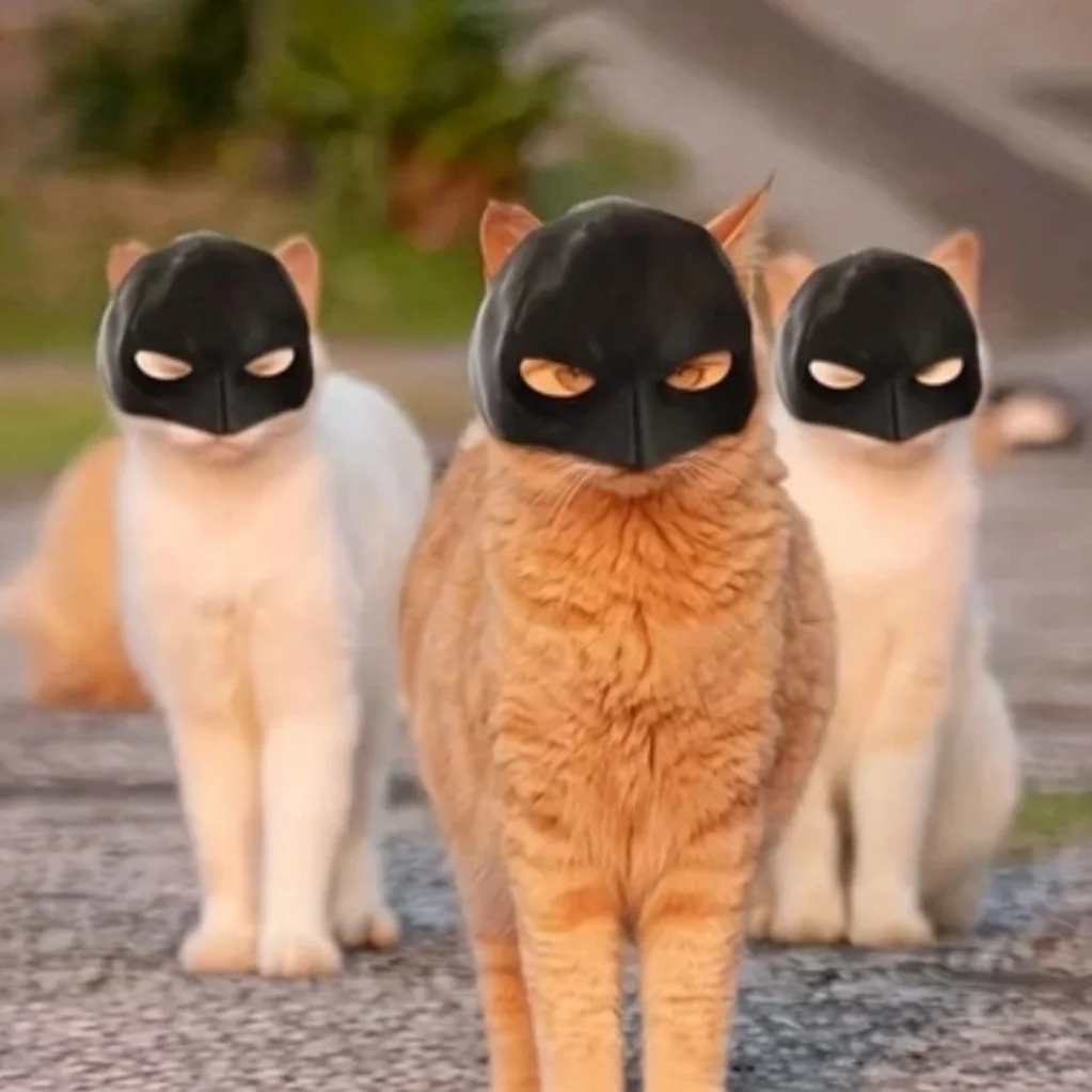 2-teilige Katzen-Avenger-Maske, schwarze Fledermaus-Halloween-Cosplay-Maske, lustige Plastik-Katzen-Party-Kopfbedeckung, Spielzeug, Foto-Requisiten, Haustier-Zubehör – Detail 4