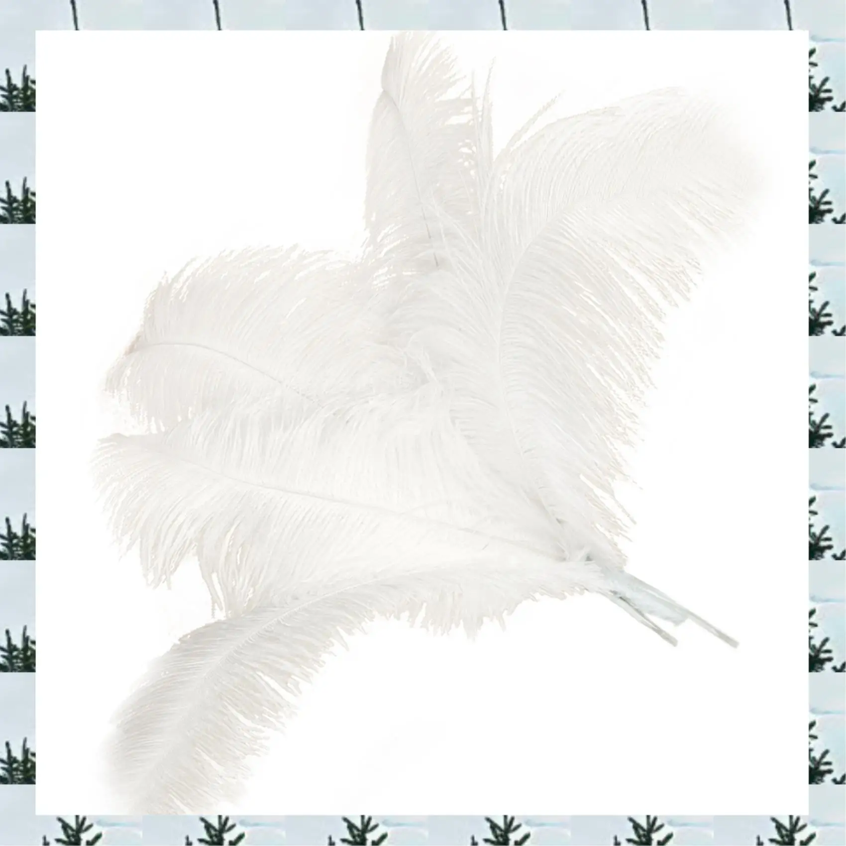 

ABLG 50 Pcs Natural Ostrich Feathers Wedding Party Decoration White 45-50Cm