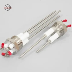 Stainless Steel 304 Boiler Electrode Water Level Probe Probe Probe Probe Rod Sensor 1 Inch, 2 Poles and 3 Poles