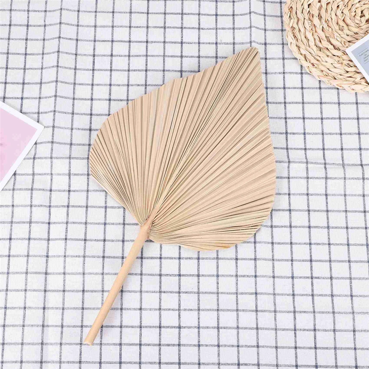 Decorazioni per la stanza delle foglie di palma essiccate 5 pezzi-18 pollici H x 10 pollici W grande decorazione naturale in foglia di palma per un bellissimo Look Boho