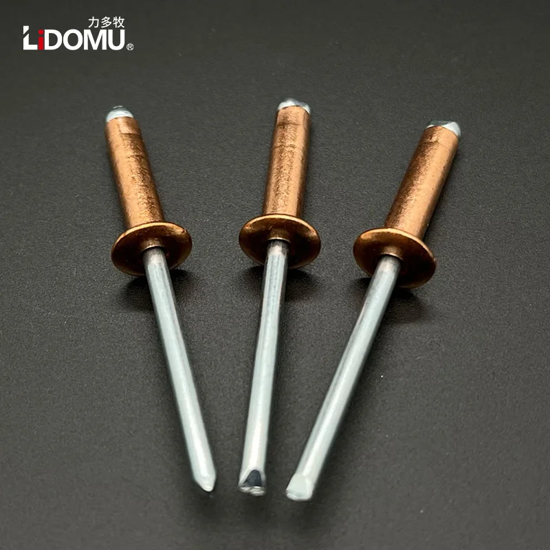 Open Type Copper Blind Rivet, Dome Head, Antiestático Bronze Latão Rebites, 30 Pcs, 50Pcs