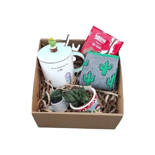 Wish Shop Cactus Pattern Christmas Box