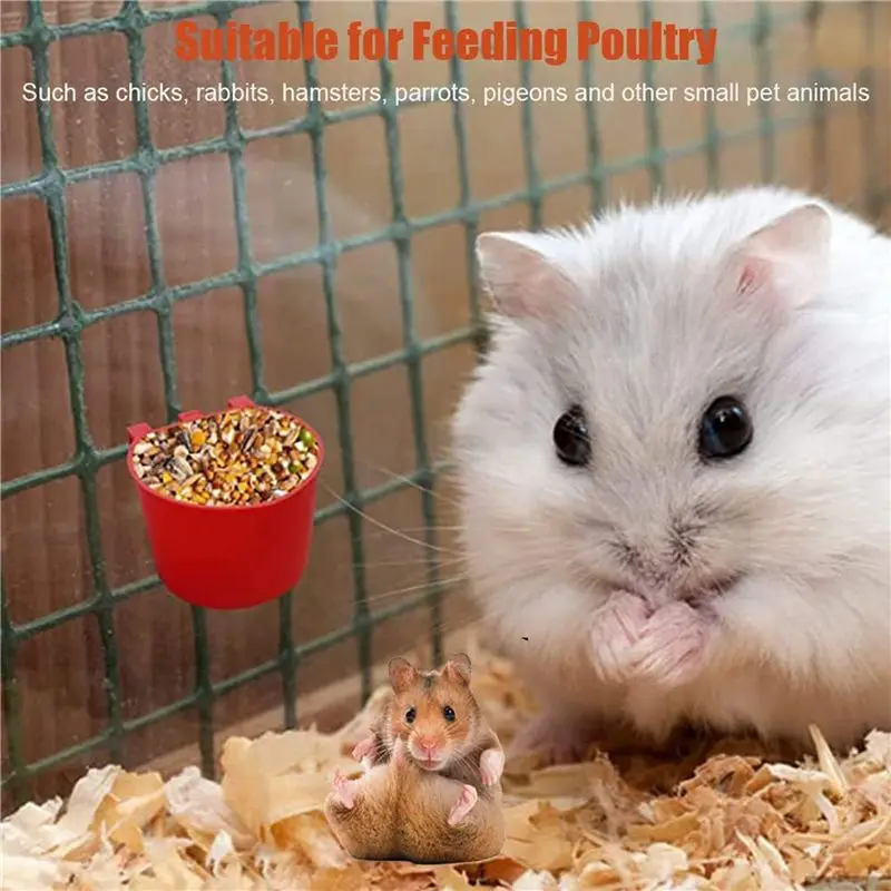 CQMF-40Pcs Chickens Feeders For Cage,Hanging Chicken Water Feeder Cup, Plastic Birds Feeders Seed Bowl, Chicken Feeder