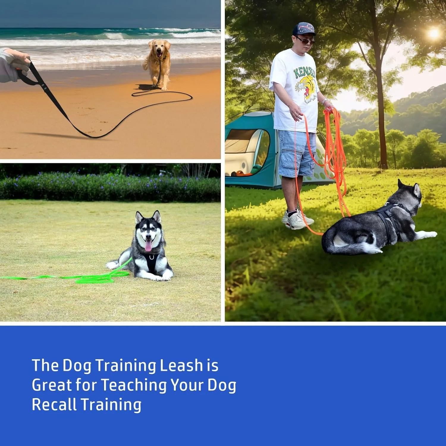 Thumbnail 3 - #67 Latest Dog Leads Offers