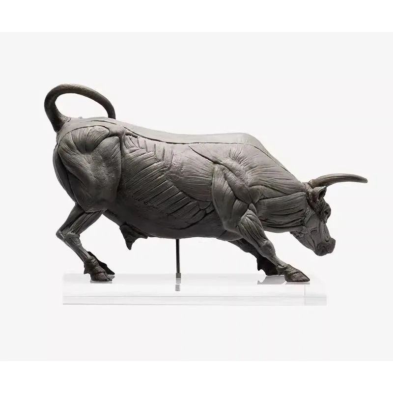 Muscle Anatomy PVC Cattle Education Model Handmade Ornament Art Medical Teaching Sculpture