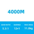 4000M