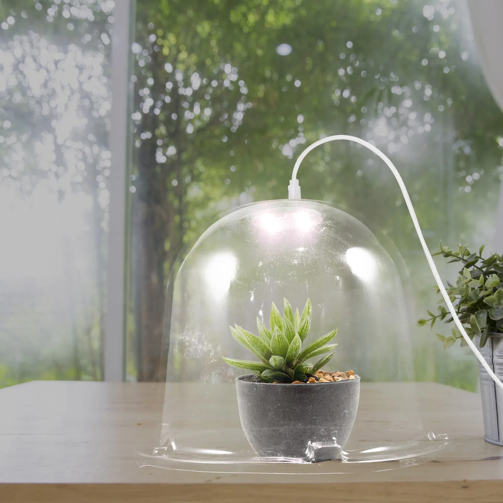 

Plant Dome Cover Transparent Reusable Garden Outdoor Greenhouse Bell Jar For Succulents Seedling Protector Frost Guard Garden