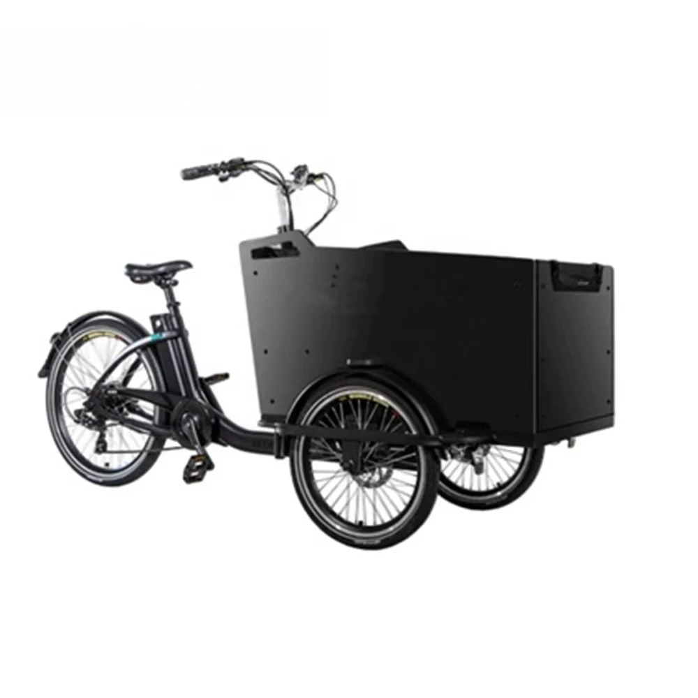 

3-Wheeled Cargo Delivery Bike with Cargo Basket for Kids & Pet