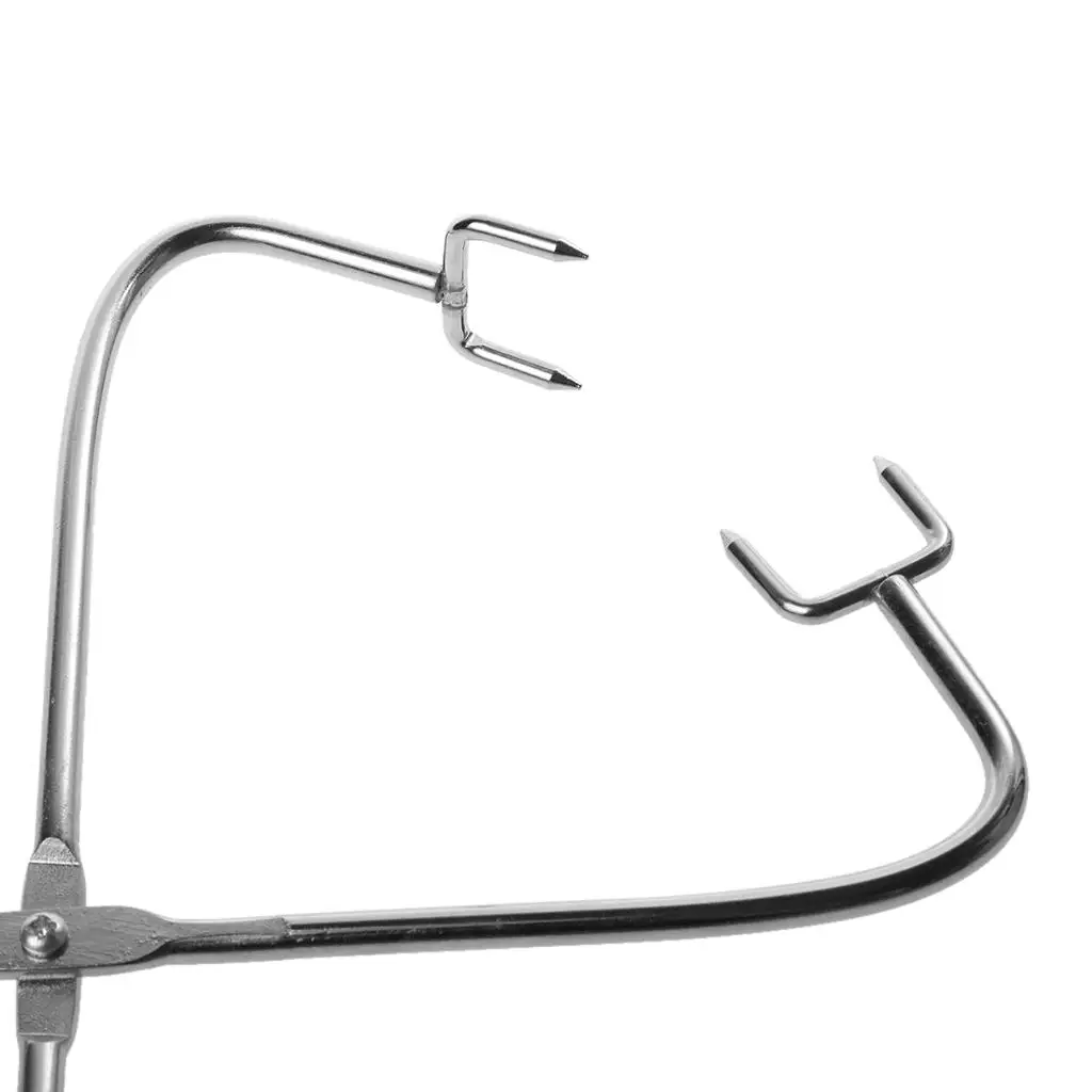 

Clay Tools Stainless Steel Dripping Tongs Pottery Making Accessory for Sculptors and Pottery Trimming Tool Kits