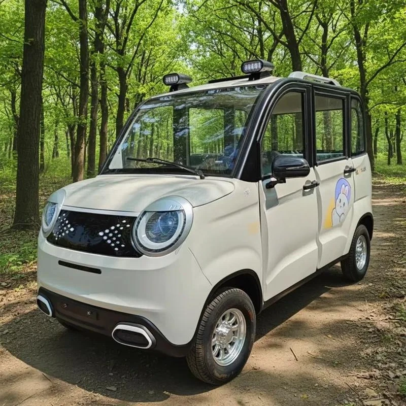 1000W Electric Mini Car 4 Doors 4 Seats Adult Lithium Battery Powered Four Wheel Vehicle Compact Energy Efficient EV