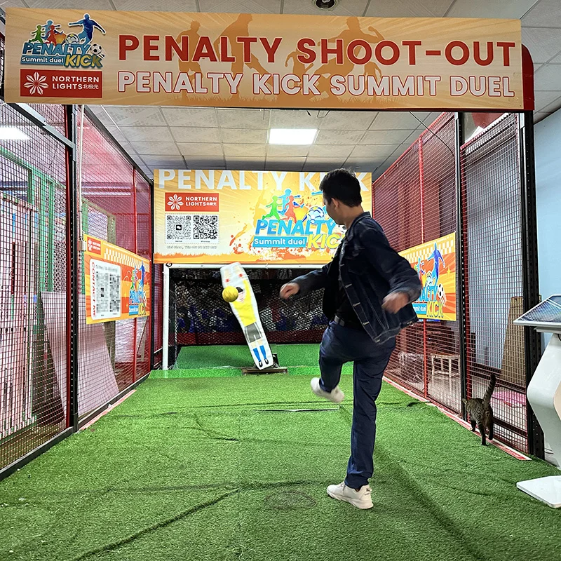 Northern Lights Digital Sports Soccer Penalty Kick Game Indoor Football Field Simulation Keeper for Home & School Use