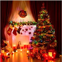 Waterproof LED Christmas Fairy String Lights White Warm RGB Lighting For Curtain Wedding Party Indoor Outdoor Home Decoration 5
