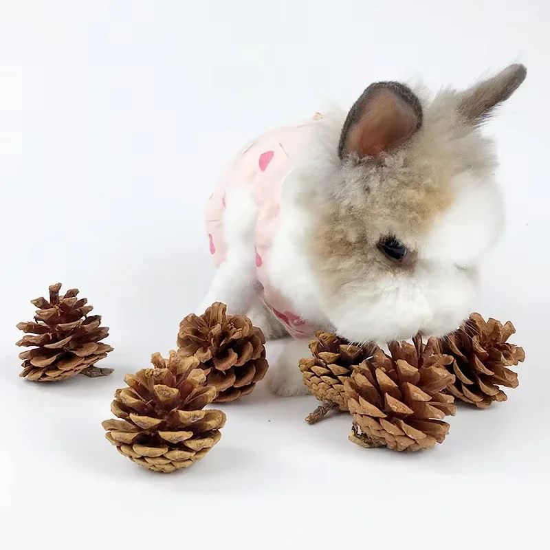 2PCS Pet Molars Pine Cones Bunny Gnawing Supplies Hamsters Chinchilla Molars Training Snacks Plant Balls Toys Rabbit Accessories