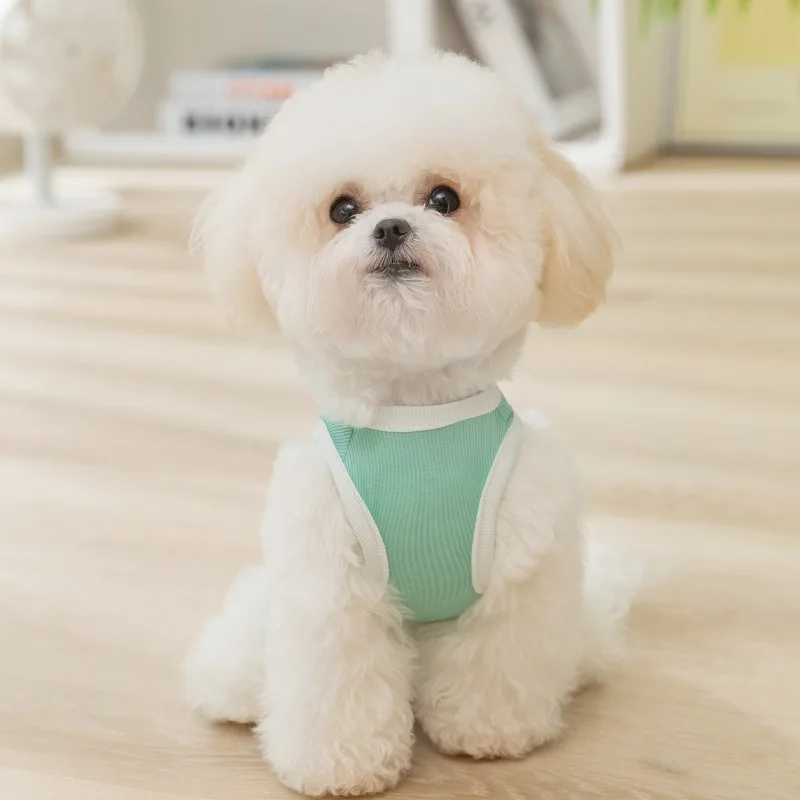 Summer Cool Comfort Teddy Vest Puppy Green T-shirt Korean Dog Cute Bear Clothes New Pet Clothing XS-XL