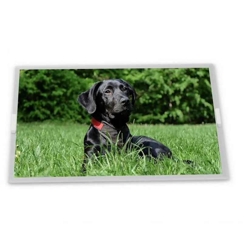 

G185XW01 V.1 18.5" 1366*768 TFT-LCD Screen Panel G185XW01 V1 Zhiyan supply