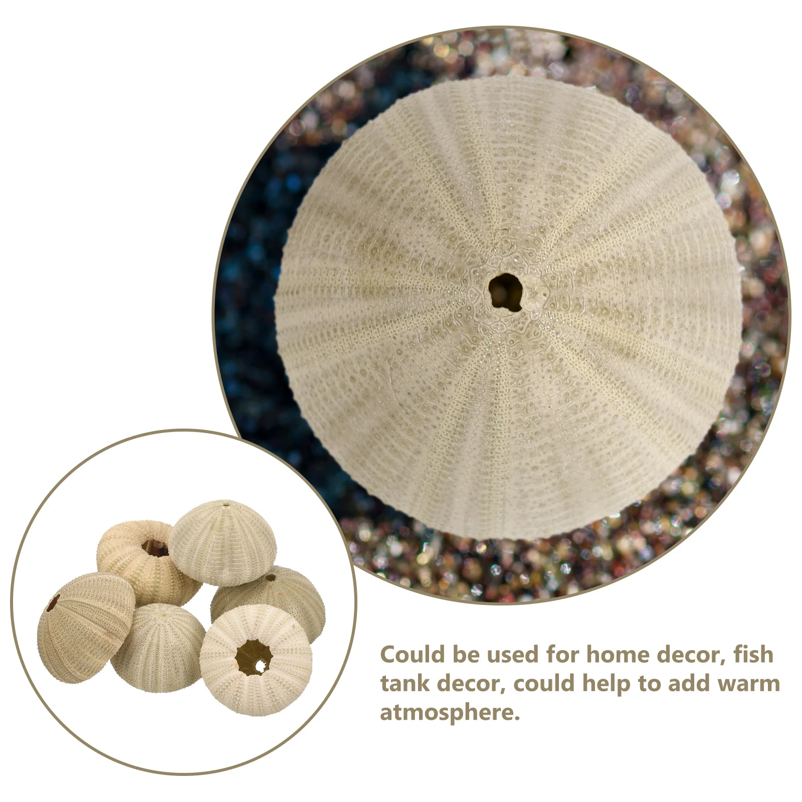 

6 pcs Natural Sea Urchin Shells Decor For Home Fish Tank Craft Ornaments Diy Decoration Ocean Theme Party Wedding
