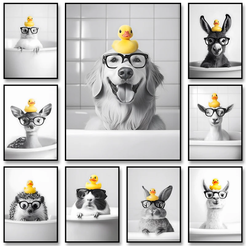 Décor de Salle de Bain Dr Diego Noir et Blanc, Peinture Diamond D'Animaux für Chambre D'enfants, Durantoration de La Maison