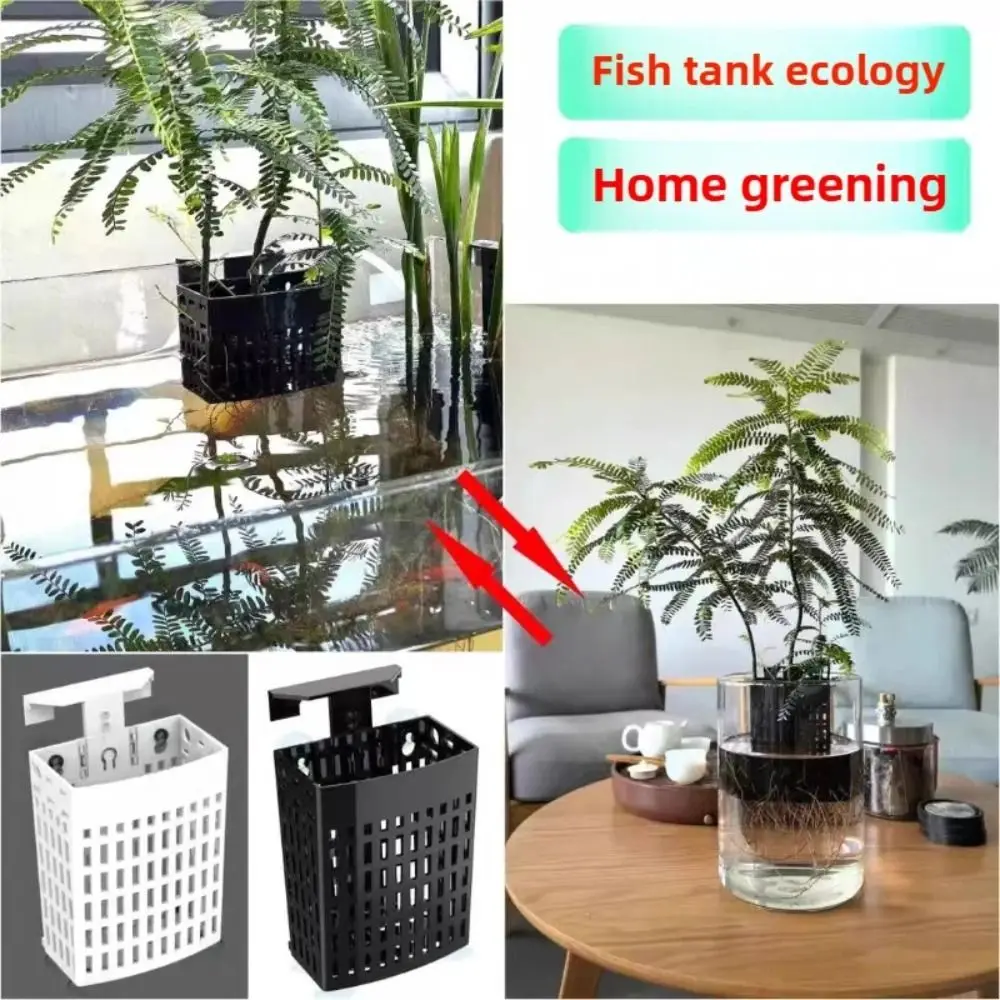 Adjustable Height Aquarium Plant Holder Transparent Extendable Hook Fish Tank Plant Holder Suction Cup