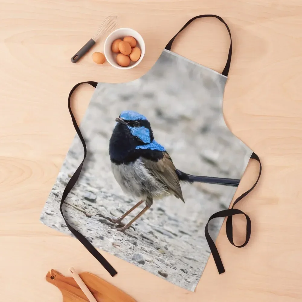 

Superb Fairywren (Malurus cyaneus) Apron for home useful pieces bib Kitchens Woman waiter Apron