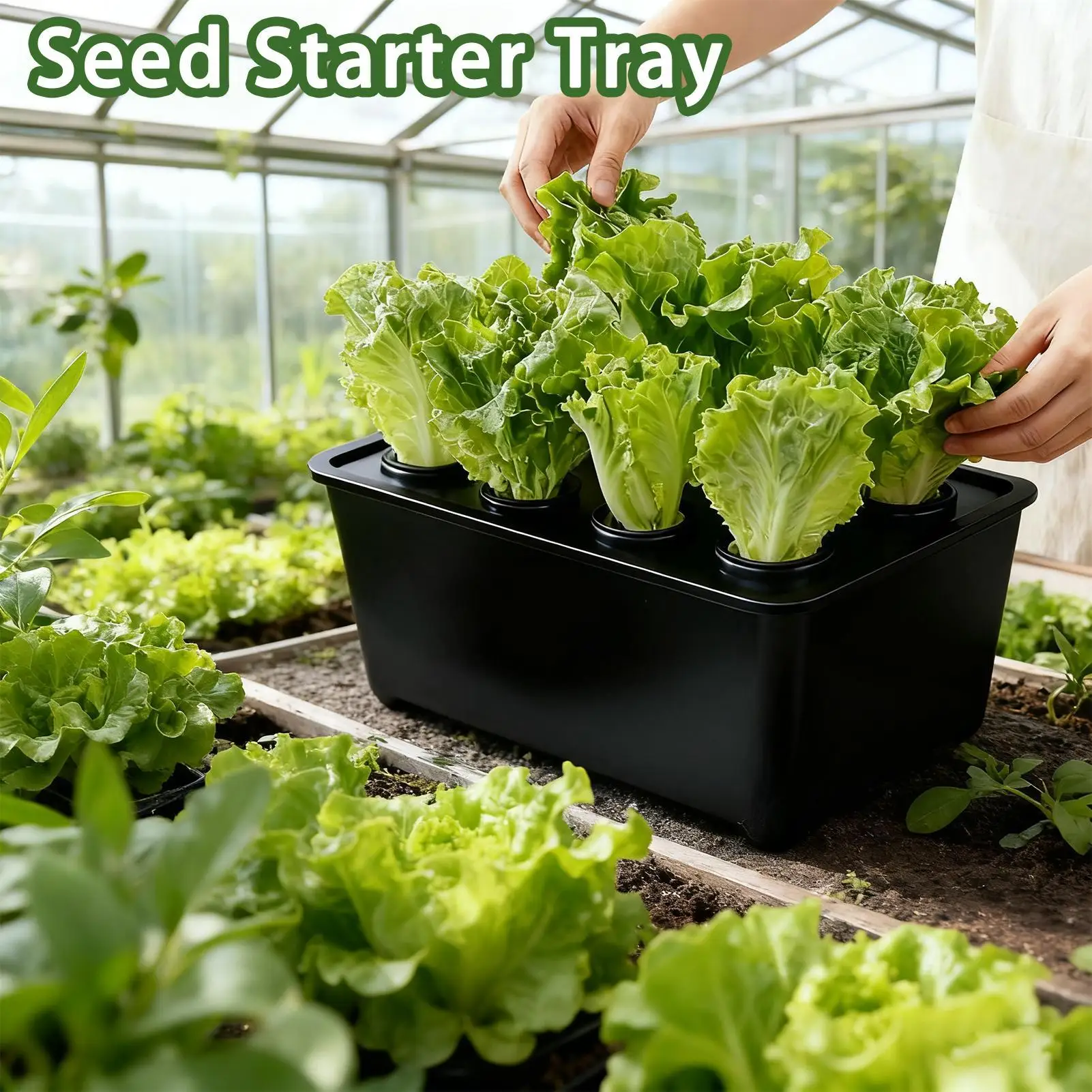 

Plant Starter Trays Greenhouse Propagator Cover Flowers Vegetables Seedling Pot Gardening Tools For Flowers Vegetables Indoor