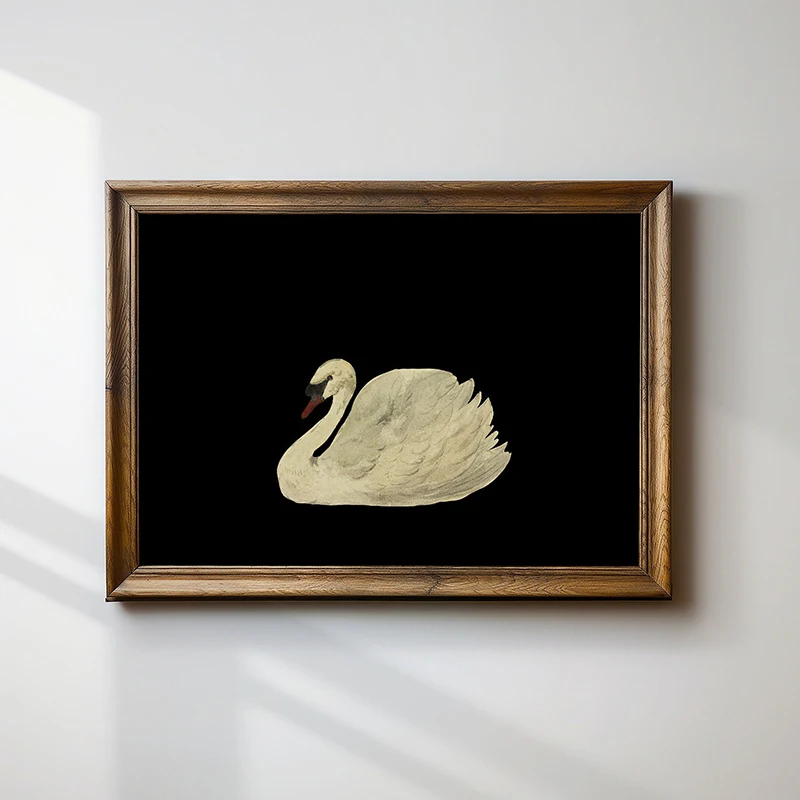 Neutral Antique Swan Watercolor Minimalist Vintage Bird Poster Prints Canvas Painting Wall Art Pictures for Farmhouse Home Decor